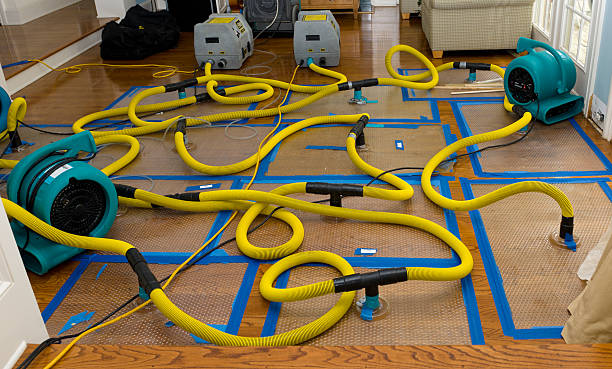 Professional Basement Flood Cleanup technician working in Silver Creek, MS