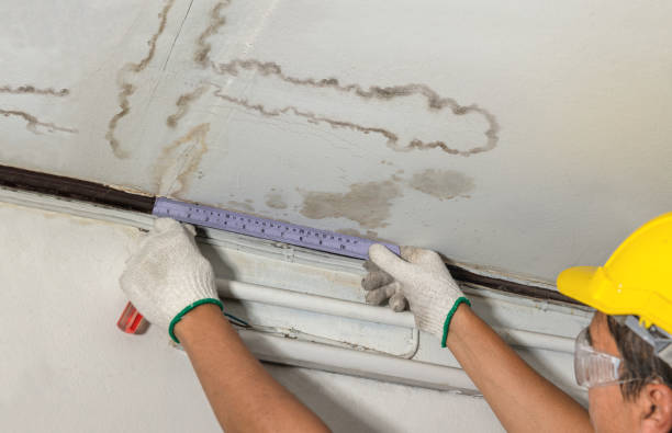 Affordable Water Damage Repair solutions in Silver Creek, MS